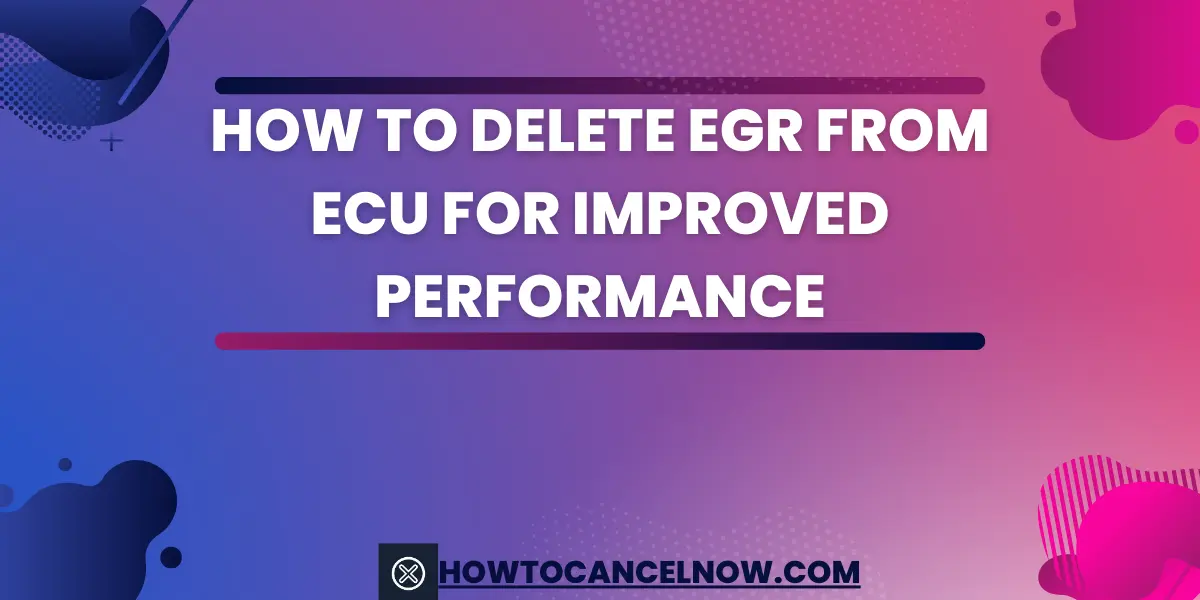 How to Delete EGR from ECU for Improved Performance